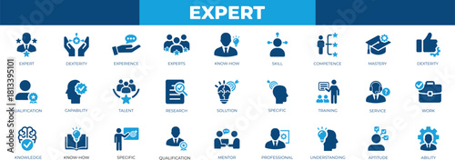 professional expert solid icon set featuring skills,strategy, consulting, leadership, certification, support,leader, performance, ,management, and career development symbols.