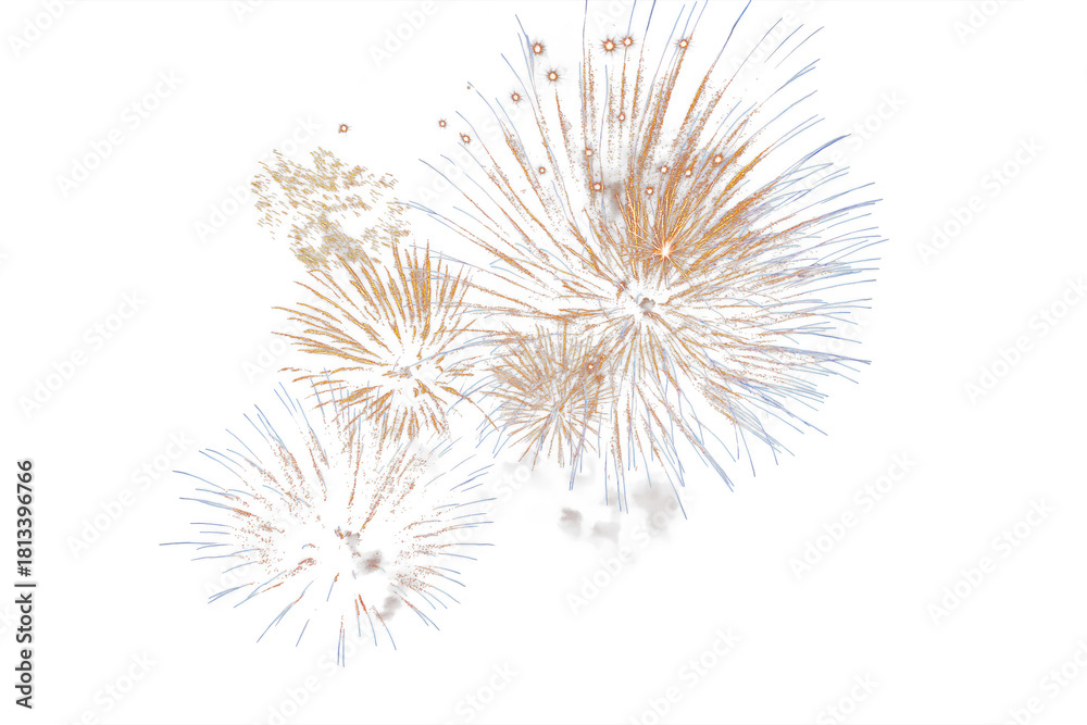 Obraz premium Fireworks Overlay