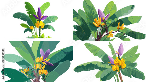 A vibrant vector illustration of banana trees with lush green leaves and colorful flowers. Perfect for botanical themes, tropical designs, gardening visuals, and exotic nature projects.