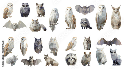 A low poly wildlife collection featuring owls, bats, lynx, wolves and raccoons. Artistic geometric illustrations perfect for forest themes, nature education and creative projects.