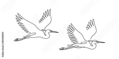 Elegant continuous line art drawing of two flying egrets. minimalist vector illustration of graceful birds in flight, isolated on a white backdrop.