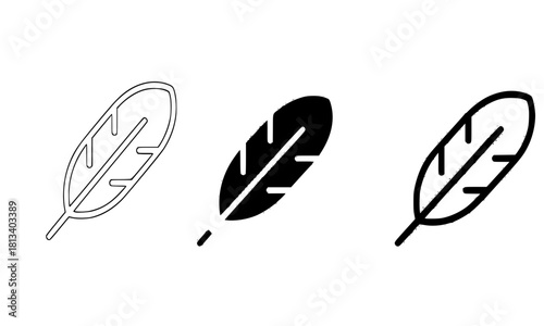 Feather Icon Set, Quill Pen Symbol, Lightweight, Writing, Softness, Outline, Silhouette, Vector Graphic