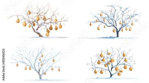 A set of winter pear tree illustrations with bare branches and golden fruits. Calm seasonal artwork depicting cold landscapes, nature details and seasonal harvest themes.