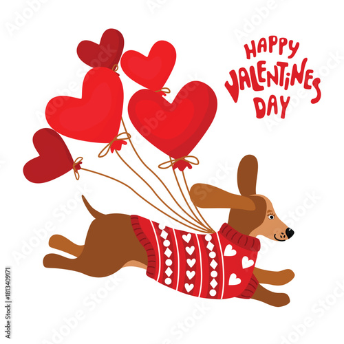 Happy Valentine's Day greeting card with dachshund dog and heart-shaped balloons. Funny animal character in warm sweater with ornament. Red and brawn colors on white. Vector cartoon design.