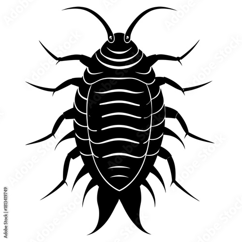 Vector drawing of woodlice isolated