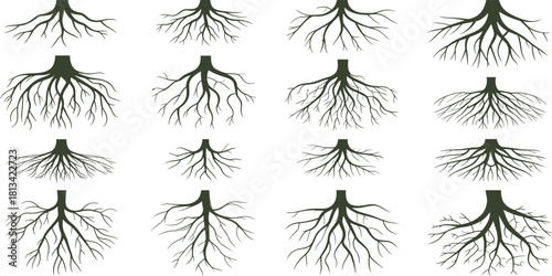 Collection of natural tree root silhouettes featuring branching underground structures, organic root patterns for botanical illustration, nature design, decorative vector artwork