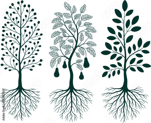 Detailed fruit tree silhouettes with roots featuring berry branches, pear fruits and leafy botanical designs for natural illustration, decoration, vector graphics