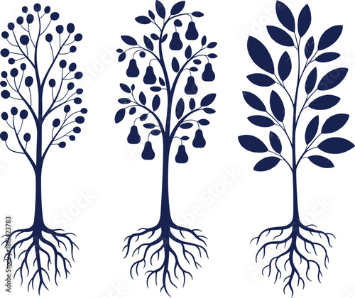 Fruit tree silhouettes with detailed roots featuring berry branches, pear fruits and leafy botanical designs for natural illustration, decoration, vector graphics