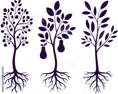 Fruit tree silhouettes with detailed roots featuring berry branches, pear fruits and leafy design for botanical illustration, nature artwork, decorative vector graphics