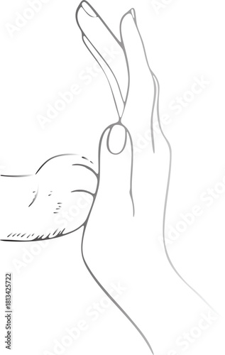 Human hand touching animal paw line art vector