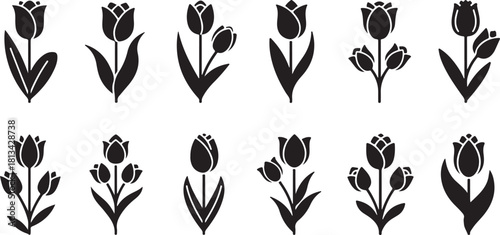 Collection of beautiful spring tulip flowers silhouettes set illustration symbolizing growth nature botanical design and floral decorative elements