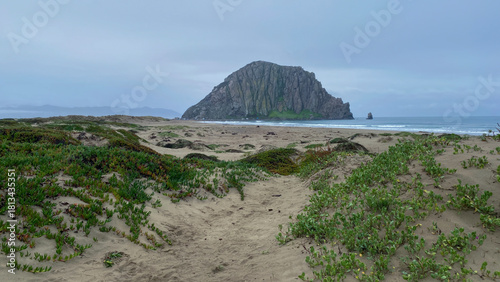 Fototapeta Naklejka Na Ścianę i Meble -  Morro Rock Rising Above Coastal Dunes