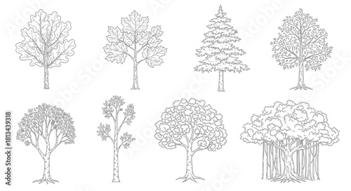 Outline drawings of various tree types in a set