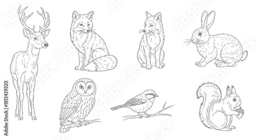 Collection of forest animals illustrations including deer, fox, rabbit, owl, bird, and squirrel.