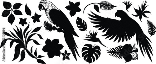 Black and white detailed illustration of tropical parrots with exotic flowers and palm leaves in elegant botanical vintage engraving style