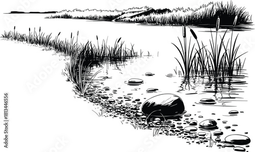 Black and white riverbank landscape illustration with water rocks reeds and grass detailed nature scenery peaceful lake shore drawing