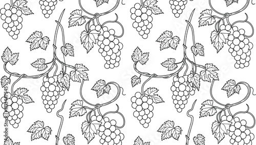 Black and white seamless grapevine pattern with leaves and grape clusters in elegant botanical line art for decorative design