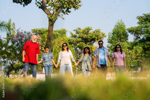 Tableau sur toile Indian family walking on lawn holding hands and enjoying happy bonding time outd