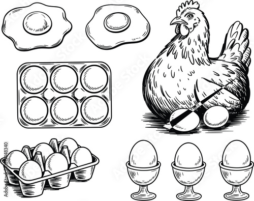 Black and white sketch illustration of chicken with eggs, egg cartons, and fried eggs in vintage hand drawn farm style