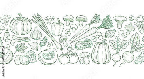 Hand-drawn outline of various healthy vegetables and mushrooms forming a seamless border pattern on a white background.