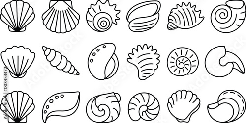 Collection of black and white seashell outline icons featuring conch, spiral, clam, and scallop shell shapes in minimal style