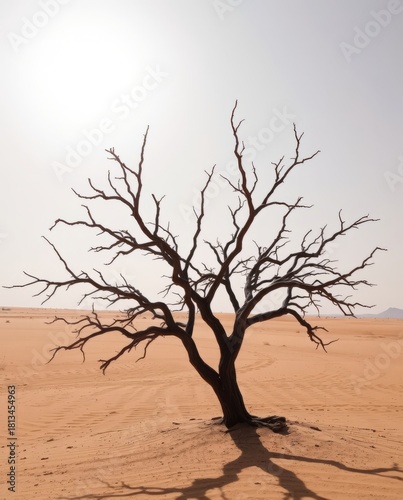 Desert Tree Silhouette: A lone, skeletal tree stands in stark contrast against the vast expanse of a sun-scorched desert landscape, a testament to resilience and the unforgiving power of nature. 