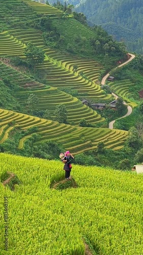 Aerial view of Hmong girls on golden rice terraces at Mu Cang Chai town near Sapa city, Vietnam. Beautiful terraced rice field in harvest season in Yen Bai province. Travel and landscape concept.