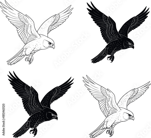 Stylized falcon or hawk flight illustrations, talons extended, shading contrast, hunting posture - flavector
