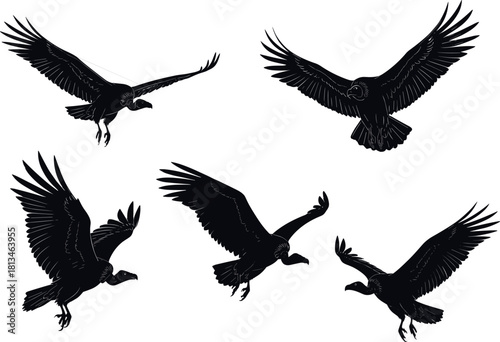 Stylized vulture silhouettes in flight and landing poses, feather detail, black bird anatomy - flavector