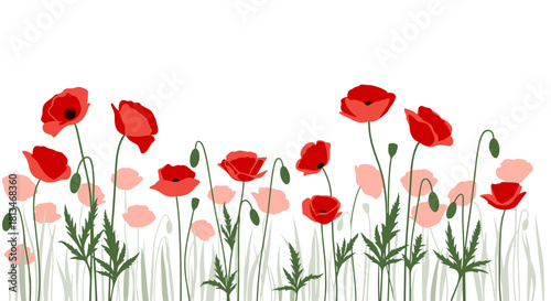 A horizontal banner of red poppies and buds on thin green stems against a white background.