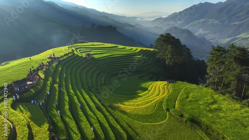 Aerial view of golden rice terraces at Mu Cang Chai town near Sapa city, North of Vietnam. Beautiful terraced rice field in harvest season in Yen Bai province. Travel and landscape concept.