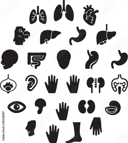 Collection of human organ and body part silhouette icons