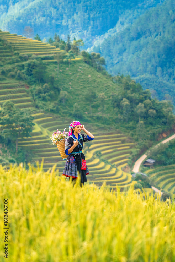 Obraz premium Aerial view of Hmong girl on golden rice terraces at Mu Cang Chai town, North of Vietnam. Beautiful terraced rice field in harvest season in Yen Bai province