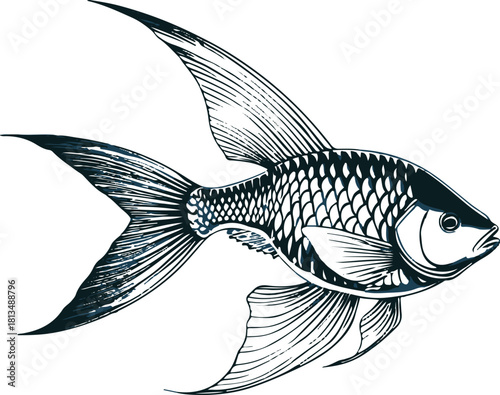 Minimal fish swimming in circular motion, bold lines 3