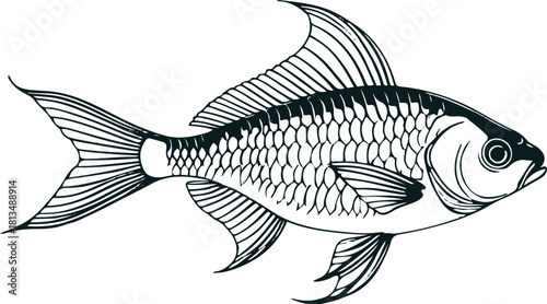Minimal fish swimming in circular motion, bold lines 2