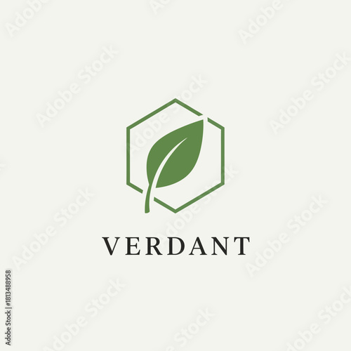 Verdant Logo Design - A Green Leaf Inside Hexagon Shape.