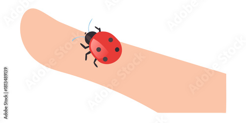 A close-up of a person's finger with a ladybug on the tip of their thumb is an image that showcases a macro shot This image can be used to highlight the intr.