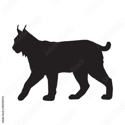 Eurasian lynx silhouette vector flat illustration design