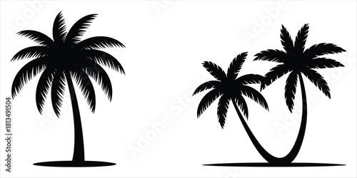 Black silhouettes of two palm trees on a white background Keywords: palm tree, silhouette, black, white background, tropical