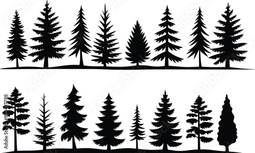 Silhouette forest landscape with diverse pine tree shapes and sizes pine trees nature
