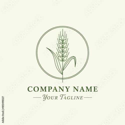 Elegant wheat stalk logo design for agricultural business branding.