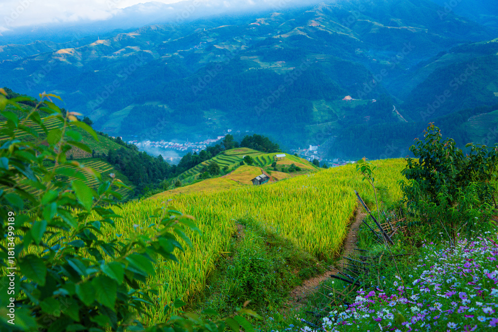 Obraz premium Aerial view of golden rice terraces in Kim Noi commune at Mu Cang Chai town near Sapa city, Vietnam. Beautiful terraced rice field in harvest season in Yen Bai province