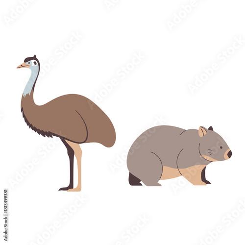 Vector illustration of an emu and a wombat, native animals of australia, isolated.