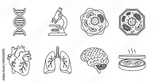 A collection of line art icons representing biology and science concepts, including DNA, a microscope, animal and plant cells, and human organs