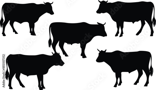 A simple black silhouette illustration depicts a small group of grazing cows