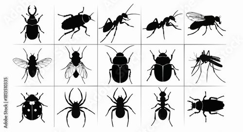 Diverse Insect Collection Explore Vector Art of Beetles, Ants, Flies, Spiders & Mosquitoes - Ideal for Nature Education, Graphics & Scientific Projects