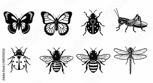 Collection of Insect Illustrations Intricate Butterfly, Ladybug, Grasshopper, Bee & Dragonfly Designs - Black and White Insect Drawing Set Vector Graphics