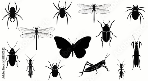 Assorted Insect Silhouettes Diverse Collection of Spider, Butterfly, Dragonfly, Beetle, Grasshopper, Ant, and More for Design and Educational Purposes