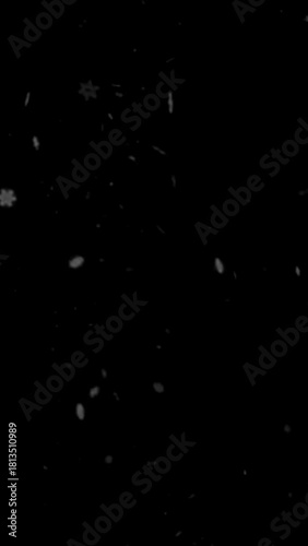 portraits of falling snow flakes on black background