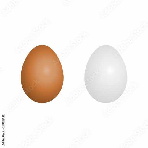 two eggs on white background